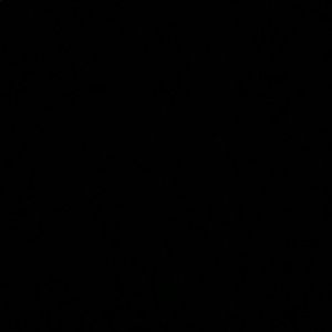 Meet your Posher, Sammy